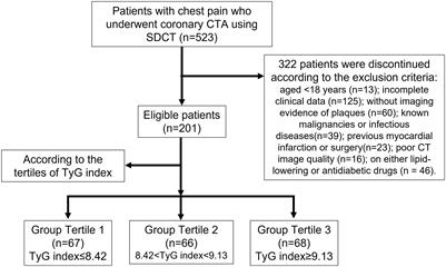 Associations between the serum triglyceride-glucose index and pericoronary adipose tissue attenuation and plaque features using dual-layer spectral detector computed tomography: a cross-sectional study